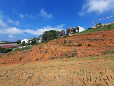 Terreno em Condomínio para Venda, em Juiz de Fora, bairro Novo Horizonte